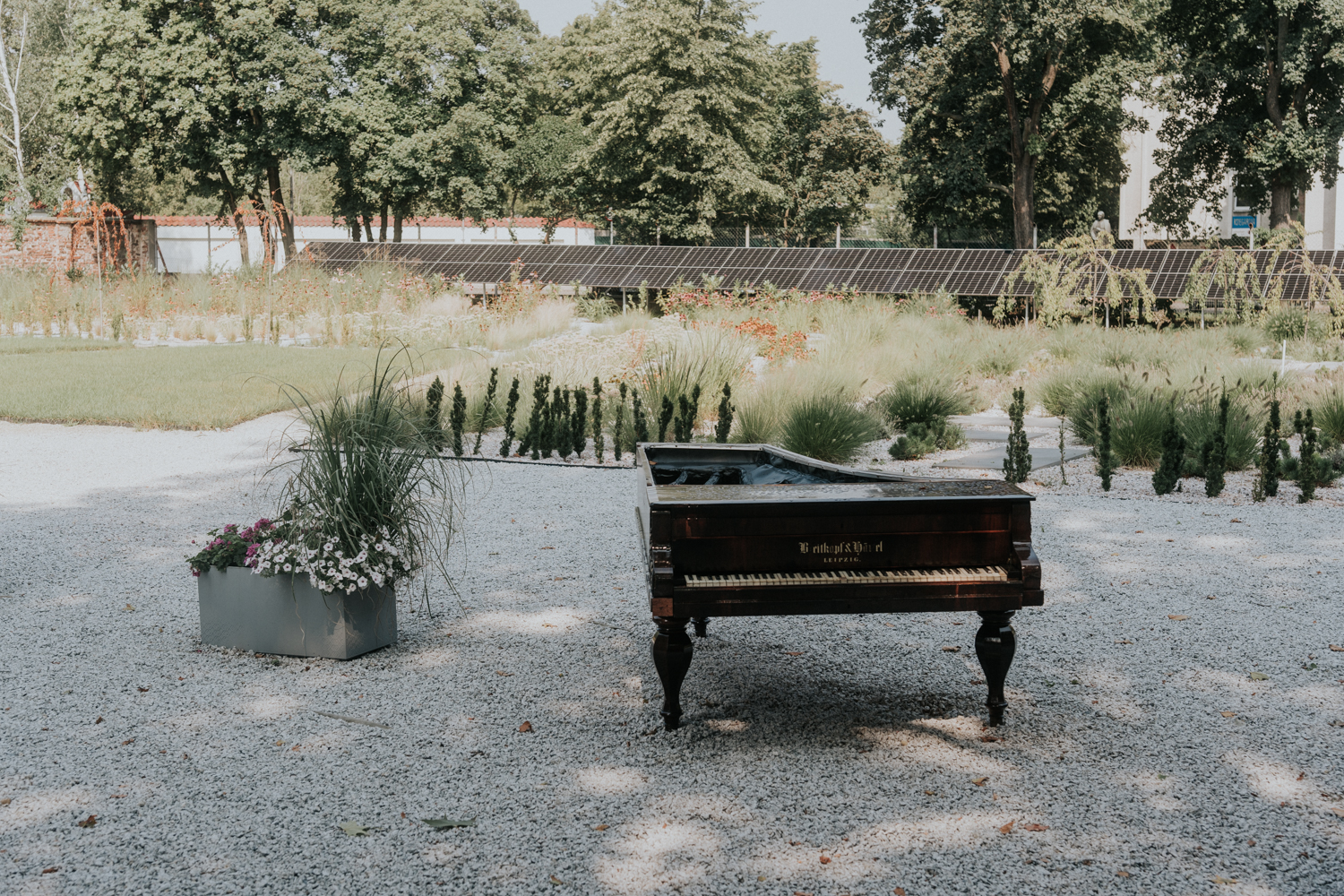 Nietypowe atrakcje w Poznaniu: 5 miejsc, które warto odkryć